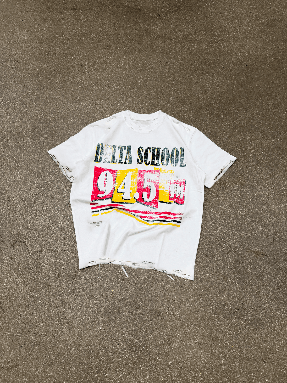 T-shirt DELTA SCHOOL FM - Custom